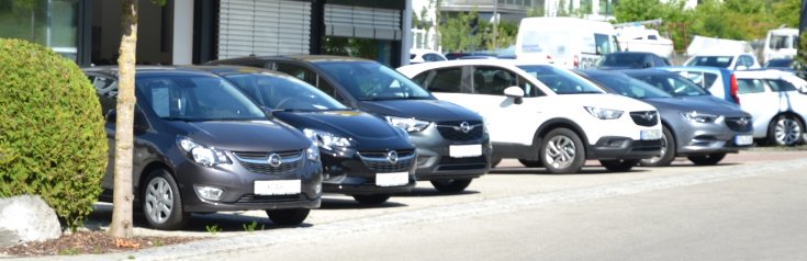 Wann kann die Zuteilung für ein rotes Kfz-Kennzeichen widerrufen werden?
