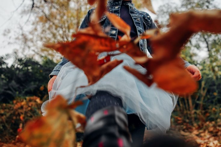 Wer muss im Herbst Hecken schneiden, Laub fegen und Bäume fällen?